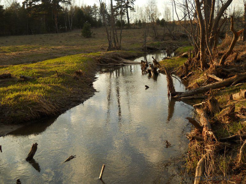 DSCN0715.JPG