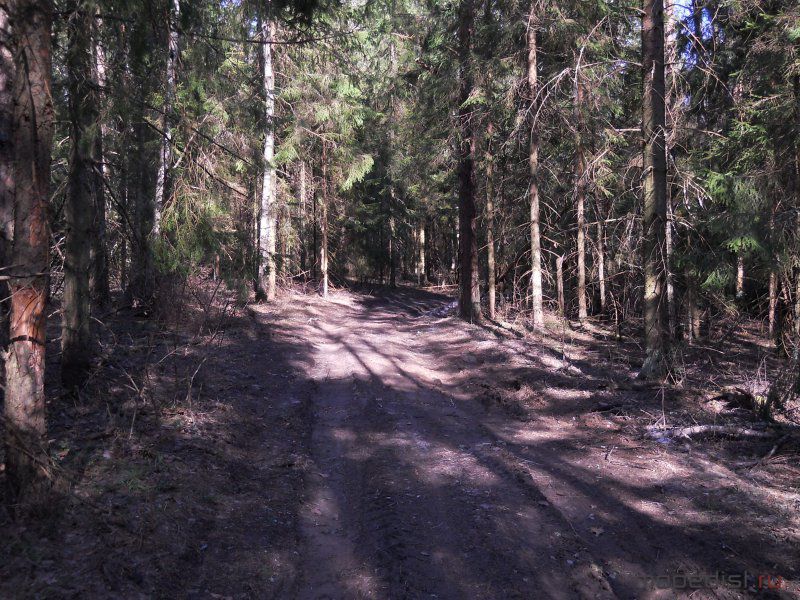 DSCN1388.JPG