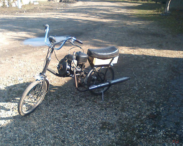 IMG0378A.jpg