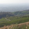 20200424_170355.jpg