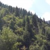 20160710_114453.jpg