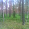 0707_1716_01.jpg