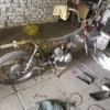 WP_000744.jpg