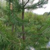 IMG_20200519_162059.jpg