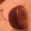 SP_A0131.jpg