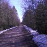 DSCN1383.JPG