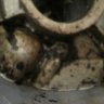 PB120276.JPG