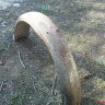 DSC01733.JPG