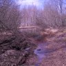 DSCN1371.JPG