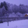 DSCN1444.JPG