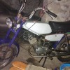 WP_000243.jpg