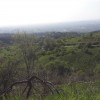 20200424_170811.jpg