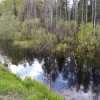 IMG_20200519_162659.jpg