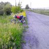 IMG_20130602_120712.jpg