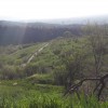 20200424_170817.jpg