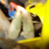 DSC03082.JPG