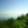 PIC_0004.JPG