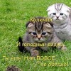 Многоуважаемого lotosa c днем рождения!!!