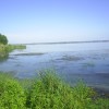 PIC_0003.JPG