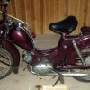 IMGP8504.jpg