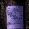 DSCN1387.JPG