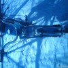 DSC00976-spaces.ru.jpg