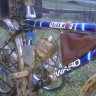 IMAG0210.jpg