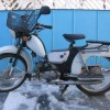 bg_1293402161.jpg