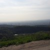 20200424_170213.jpg