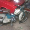 6jBNQ6Q5704.jpg