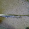 DSC01530.JPG
