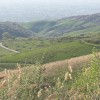 20200424_170350.jpg