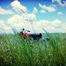 IMG_20130601_114850.jpg