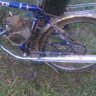 IMAG0205.jpg