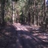 DSCN1388.JPG